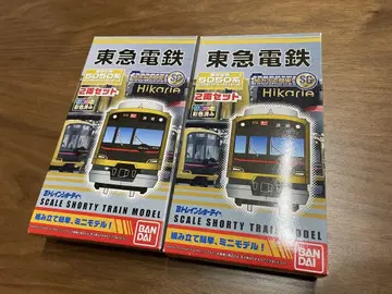 B 기차 티 도큐 5050계 Shibuya Hikarie호 2상자