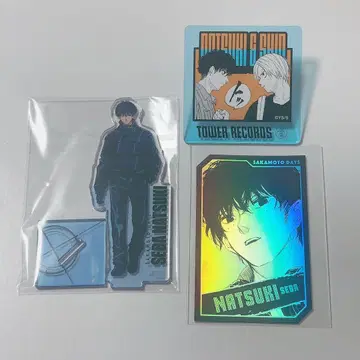 사카모토 데이즈 여름 생 3세트
