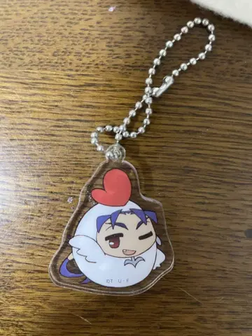 fate 랜서 귀중품