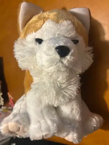 AMUSE 복슬복슬 늑대 봉제 인형 약 36cm