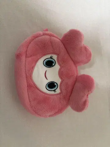 twice momo 파우치