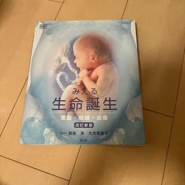 보이는 생명 탄생 : 수정 임신 출산