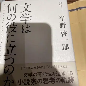 문학은 무엇에 도움이 되는가 히라노 케이이치로 사인 도서