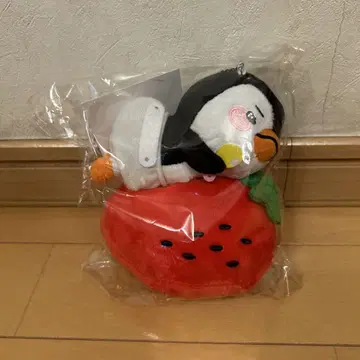 미개봉 새상품 LEEJUNHO 백참 펭귄