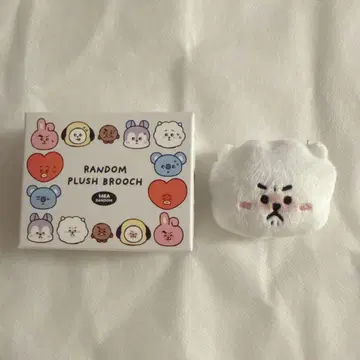 BT21 RJ 랜덤 페이스 브로치