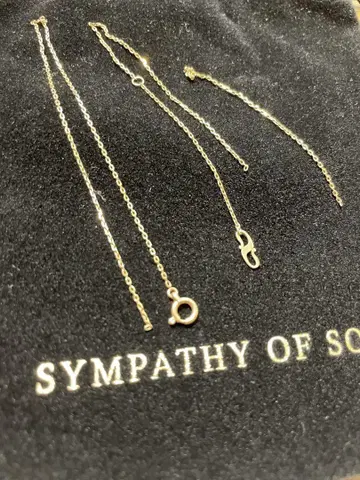 SYMPATHY OF SOUL 체인 K10 (끊어졌습니다)