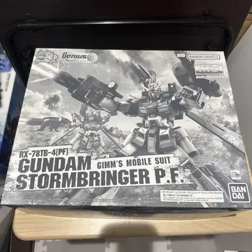 GUNDAM STORMBRINGER P.F. RX-78TB-4[P.F]