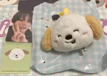 RIIZE 앤톤 중국 상하이 팝업 한정판 블라인드 박스 세트
