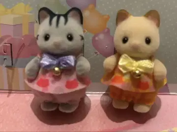 모여라 아기 세트 고양이