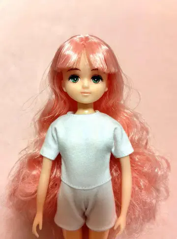새상품급 팔레트F 리카짱 캐슬 리틀팩토리