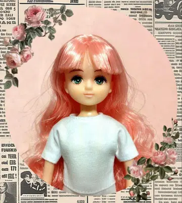 팔레트 F 리카짱 캐슬 리틀팩토리 오타노시미 인형