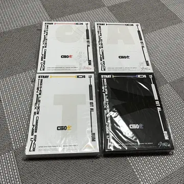 스키즈 GO 한정판 컴플리트 세트 straykids