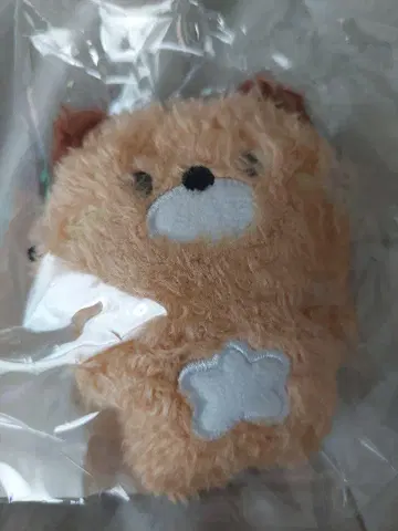 EVNNIZ PETIT PLUSH KEVRING 이타그리