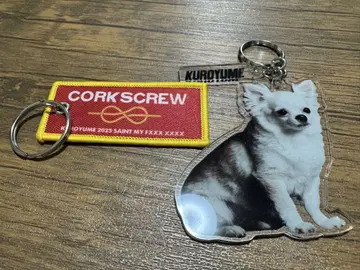 새상품급 블랙 꿈 CORKSCREW2025 투어 굿즈