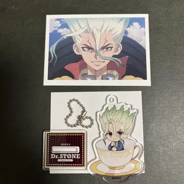 Dr.STONE 아모카페 아크릴 스탠드 키링 특전 카드 센쿠