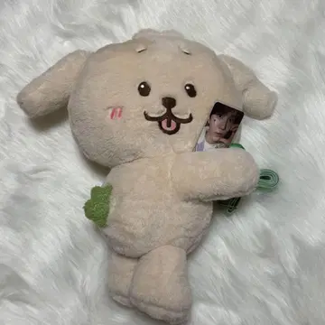 nctwish log in 인형백 덴트리버