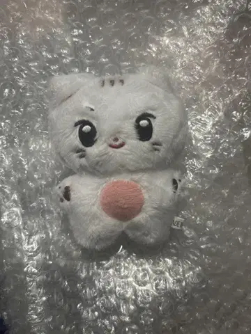 성한빈 한빈 제베원 인형