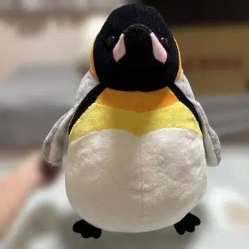 해유관 펭귄 BIG 봉제 인형