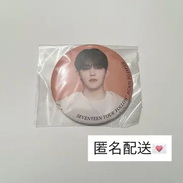 SEVENTEEN 에스크 승철 follow again 캔뱃지