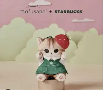 mofusand + STARBUCKS 고양이 봉제 인형