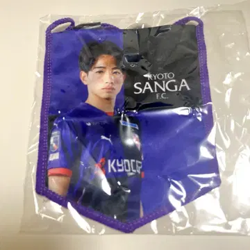 교토 산가 F.C. 태피스트리 히라가 다이쿠