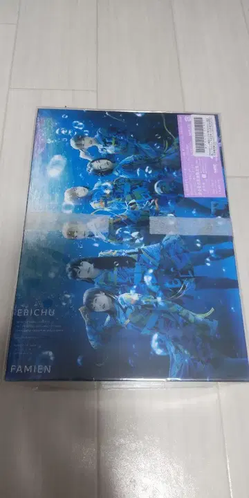 사립 에비스 중학교 FAMIEN 2019