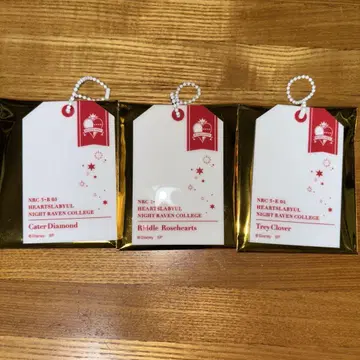트위스테 행택 아크릴 키링 리들, 트레이, 케이트