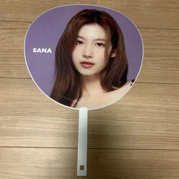 TWICE THIS IS FOR WORLD TOUR 2025 사나 부채