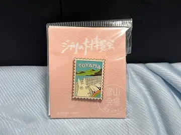 극레어 지브리 대박람회 토야마 한정판 핀즈