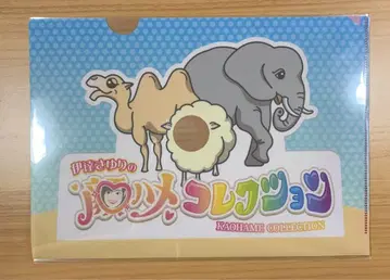 다테 사유리 얼굴 하메 컬렉션 사유컬렉션 클리어 파일
