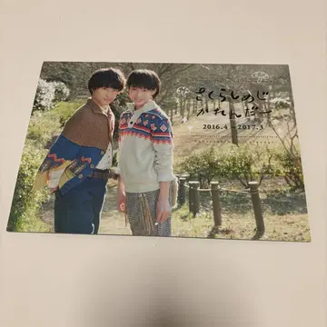 사쿠라 시메지 캘린더 2016