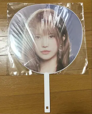 프로미스나인 nowtomorrow 일본 한정 부채 하영