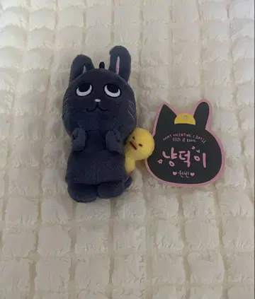 riize 원빈 토냥이 10cm 인형 마스코트