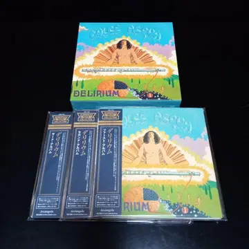 델리리움 종이 자켓 CD 상자
