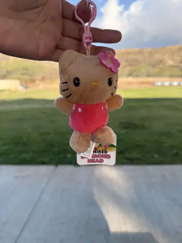 하와이 다이아몬드 헤드 한정판 키티 봉제 인형