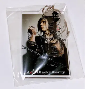Acid Black Cherry DVD 블루레이 구매 혜택 키링