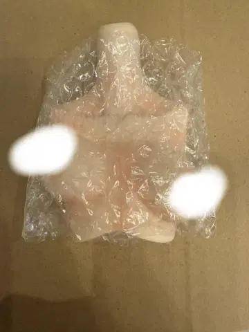 ANGEL PHILIA 외피 바디 부품 상반신 Soft Skin 화이트