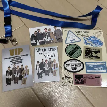 WILD BLUE SKY VOYAGE