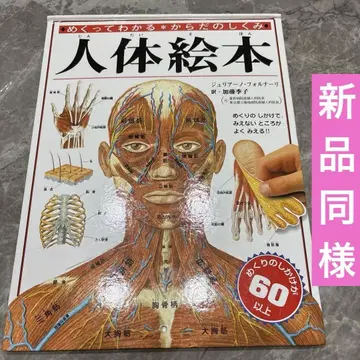 넘겨보며 알아보는 몸의 즐거운 비밀 인체 그림책