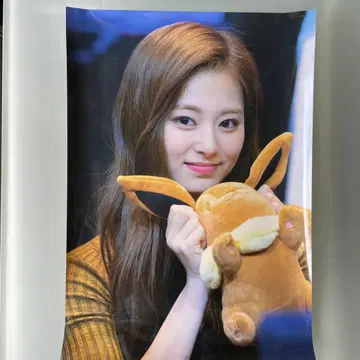TWICE TZUYU 쯔위 사진 A3 포스터 30x42cm