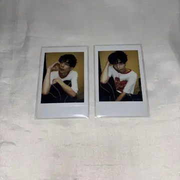 이케챠오 폴라로이드 쿠리하라 타이거
