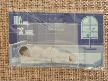 Snow Man 아크릴 스탠드 RAYS 굿즈 와타나베 쇼타