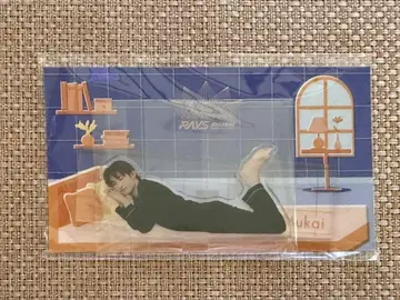 Snow Man 아크릴 스탠드 RAYS 굿즈 무카이 코지