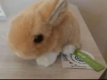 요시토쿠 토끼 봉제 인형
