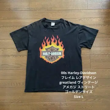 00s 할리 데이비슨 프레임 골든 사이즈 아메카지
