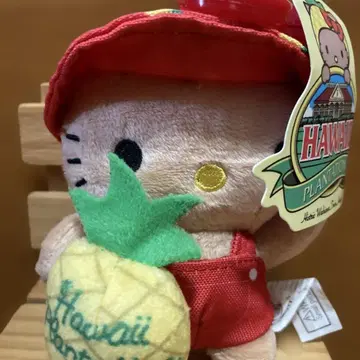 하와이 산리오 일광화상 키티 파인애플 키링