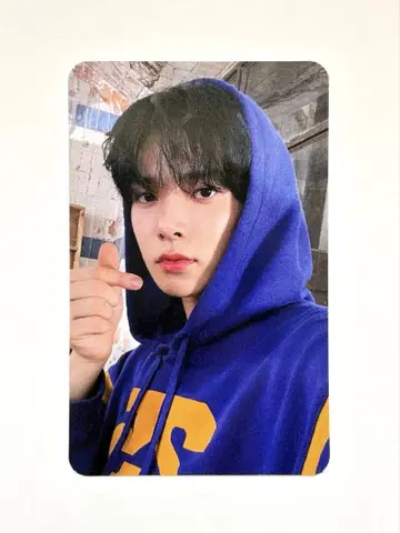enhypen 히승 dilemma shopee 트레이딩 카드