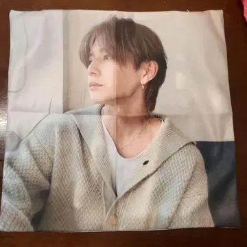 야마다 료스케 쿠션 커버