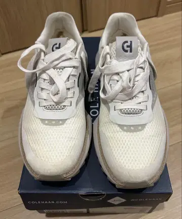 콜한 그랜드 프로 아쉬랜드 골프화 25cm
