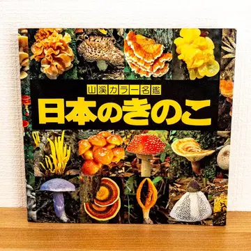 산계 컬러 명감 일본의 버섯 산과 계곡사 이마세키 로쿠야 이자와 마사나